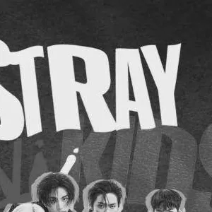 chat with ai character: straykids and more
