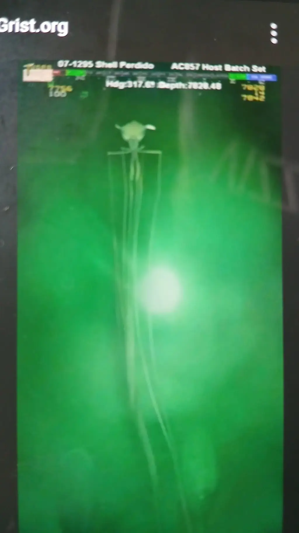 ai character: the magnapinna squ background