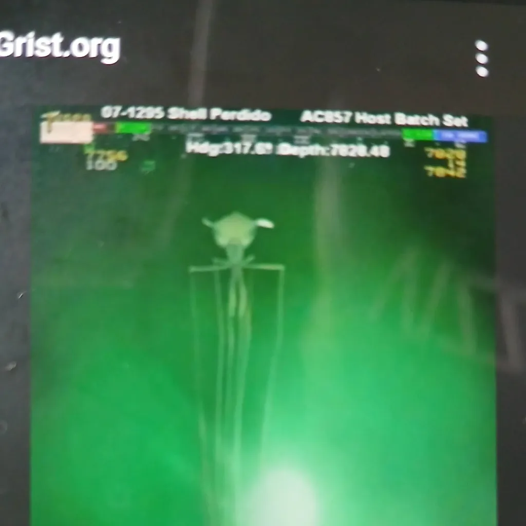 chat with ai character: the magnapinna squ