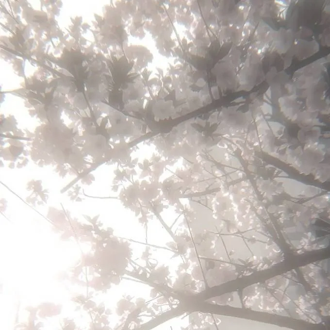 chat with ai character: Zion And Matthew