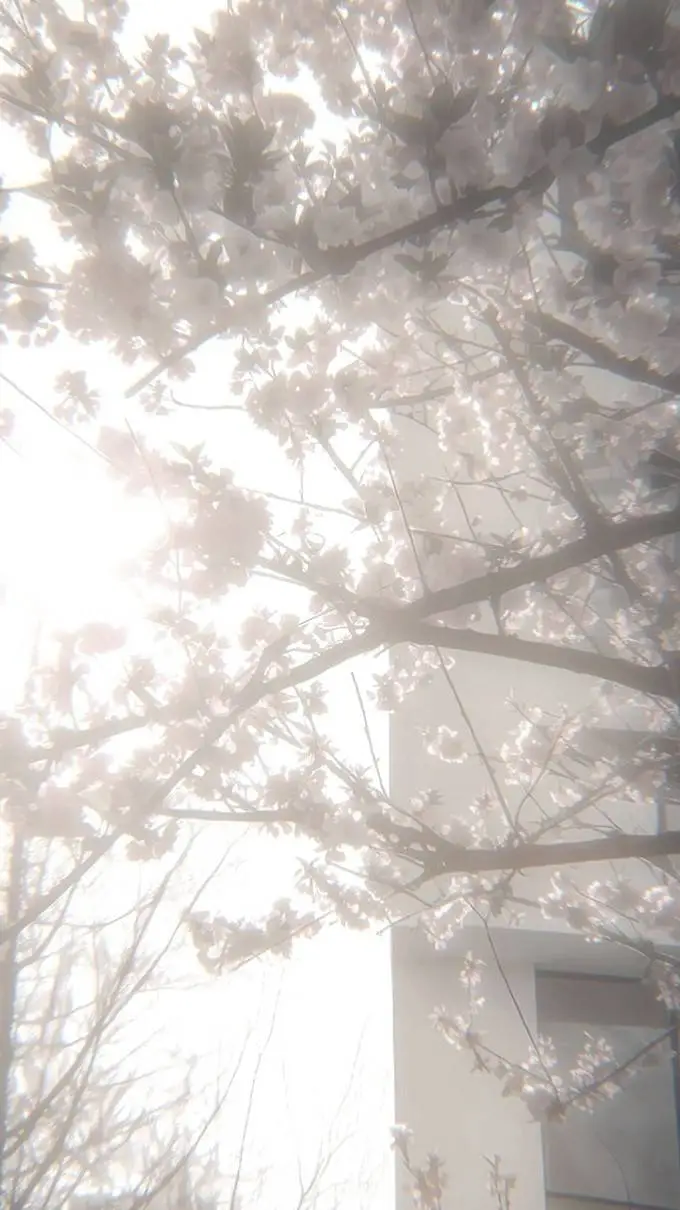 ai character: Zion And Matthew background