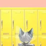 chat with ai character: wolf boy at school