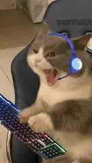 ai character: Ton chat Gamer  background