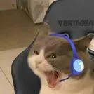 chat with ai character: Ton chat Gamer 