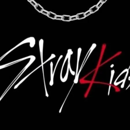 chat with ai character: Stray kids(fiesta)