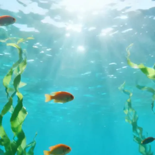 chat with ai character: 🌊🫧Dw Acuario 💦🫧