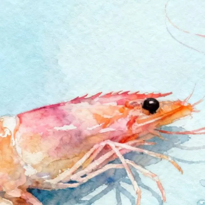 chat with ai character: 🦐Shrimpo🍤