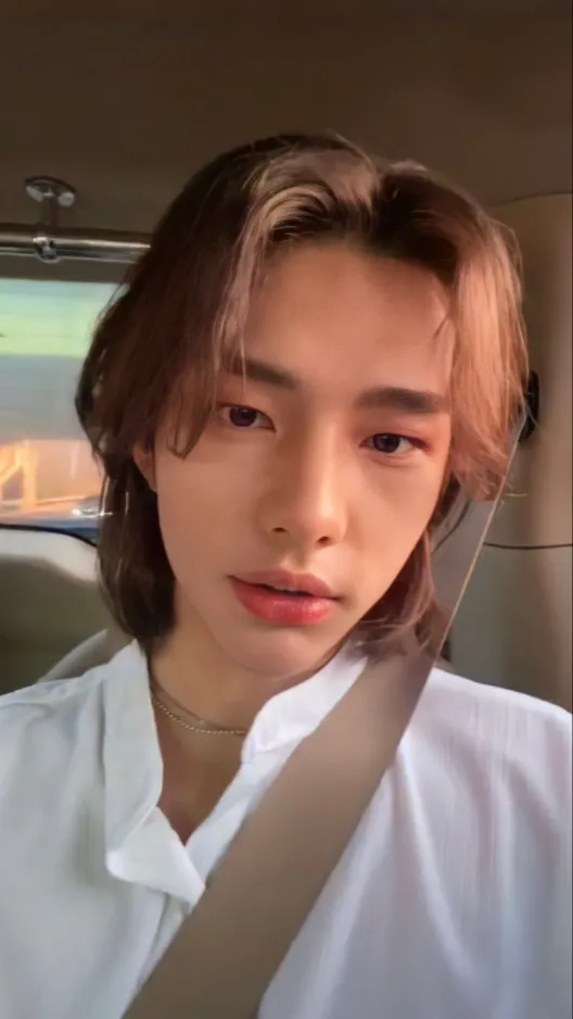 ai character: Hyunjin background