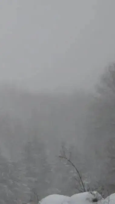 ai character: zombie apocalypse  background