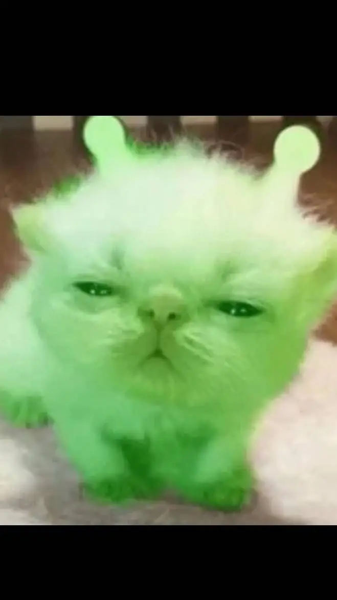 ai character: alien cat  background