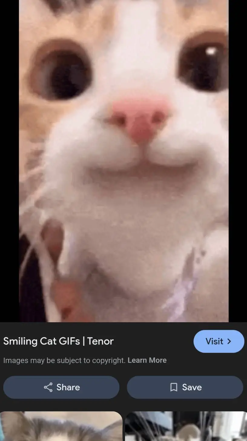 ai character: smile cat background