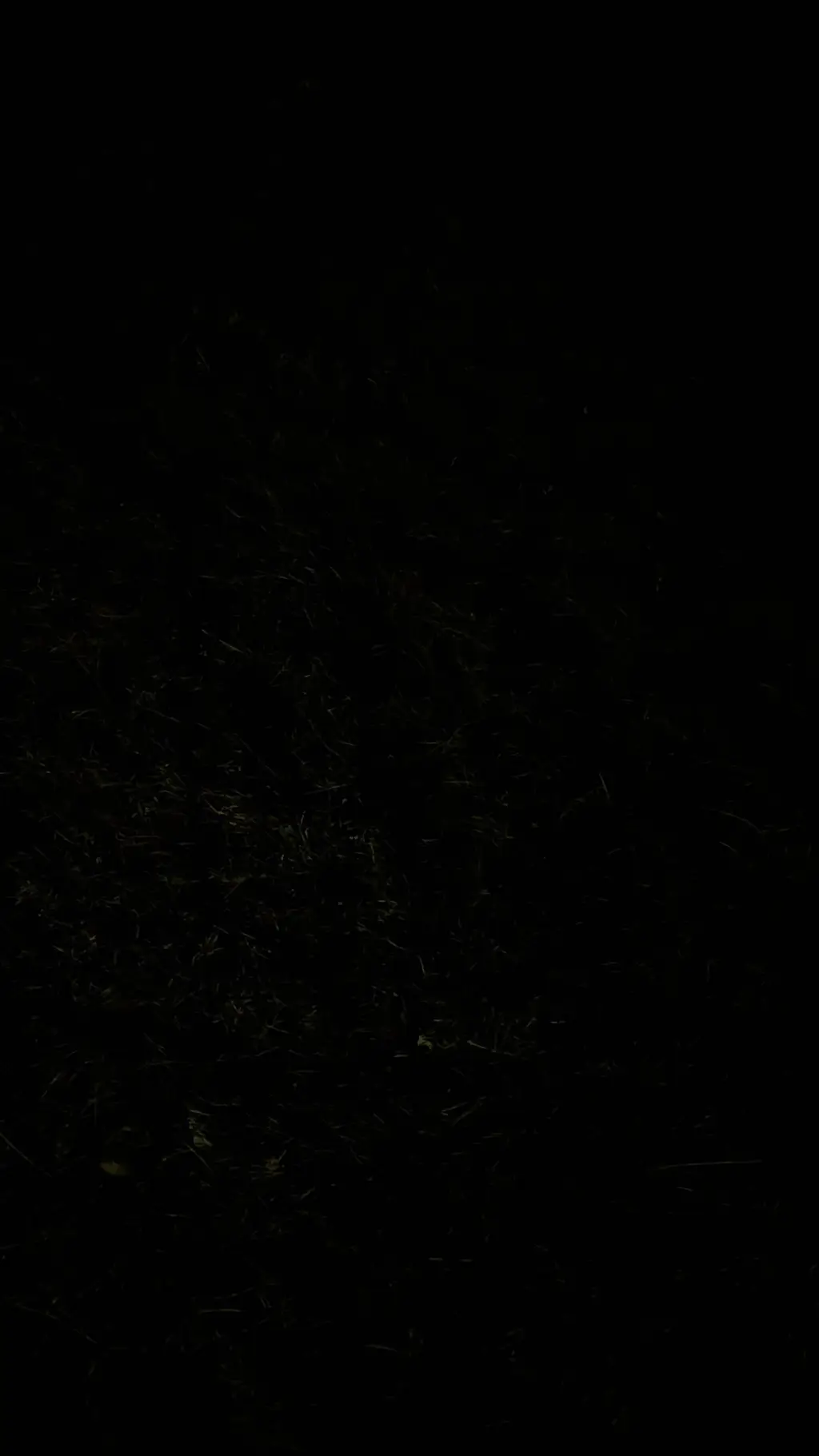 ai character: Y/N last jjk fight background