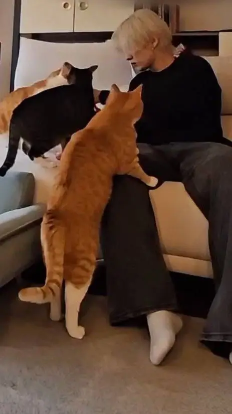 ai character: minsung  background