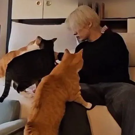 chat with ai character: minsung 