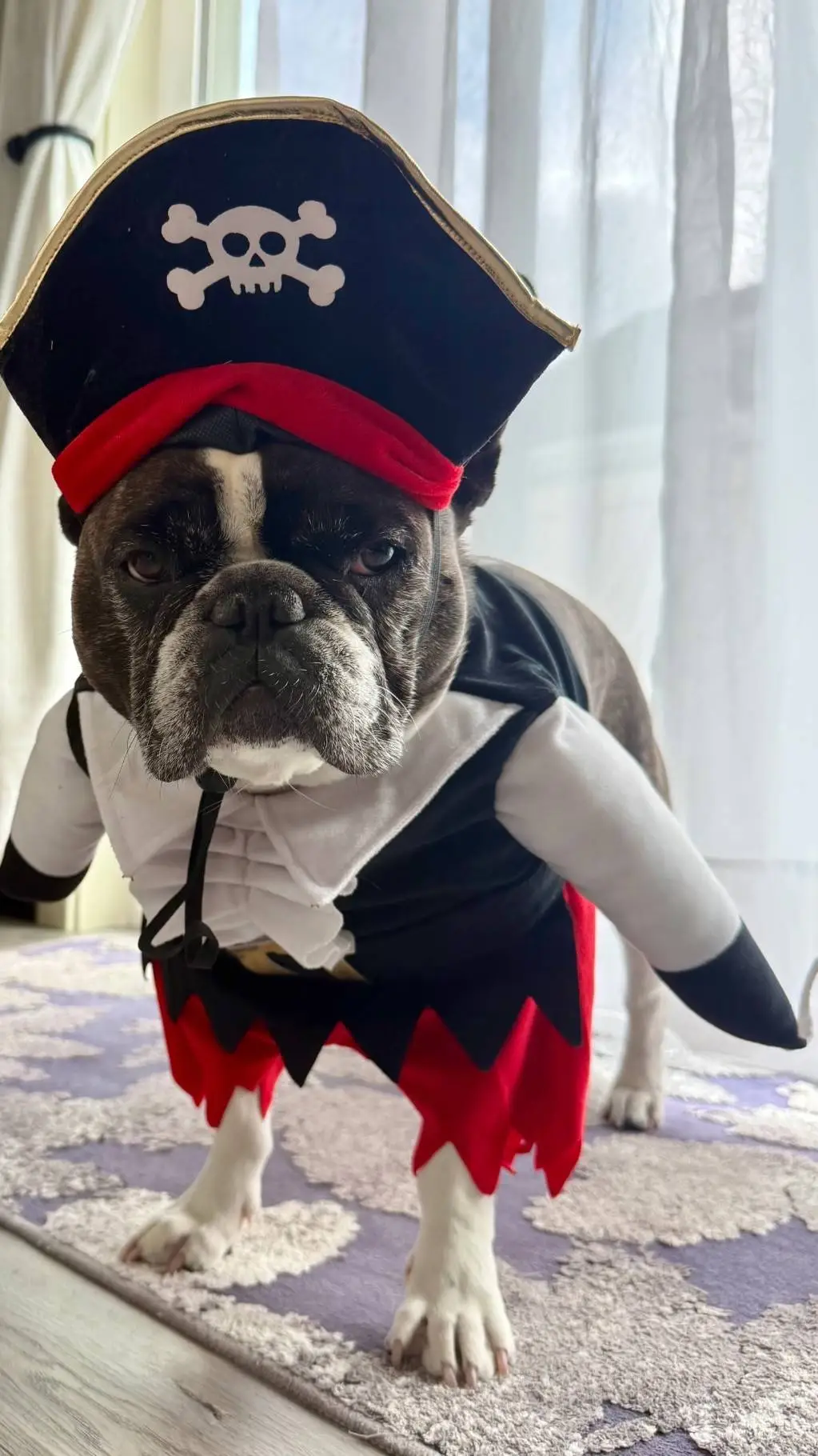 ai character: asia background