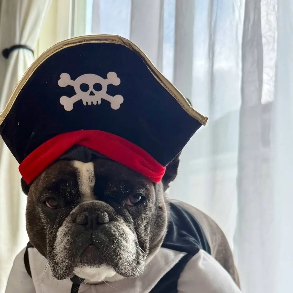 chat with ai character: asia