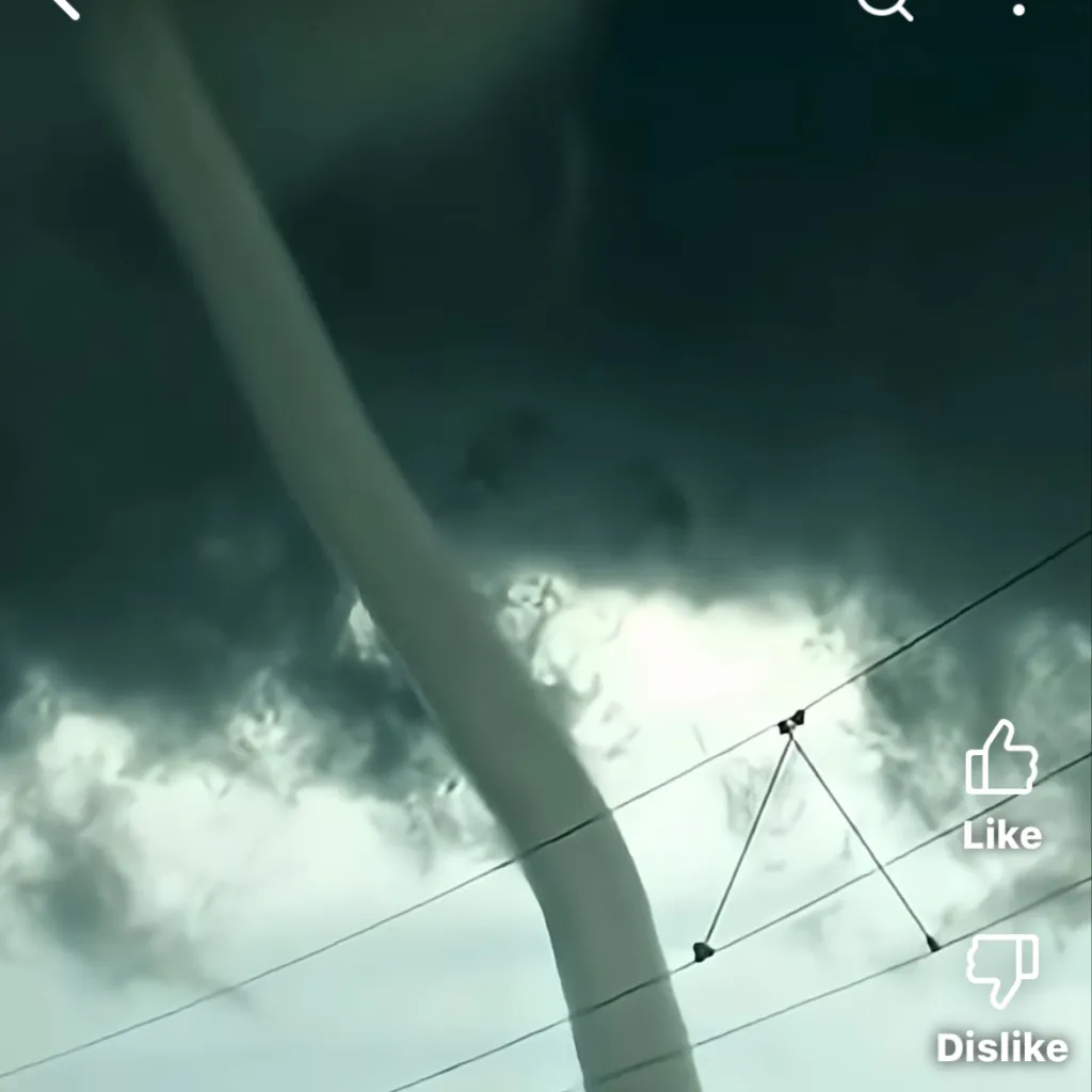 chat with ai character: Snake tornado