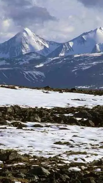 ai character: Navidad pilares background