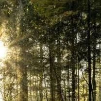 chat with ai character: glitch 