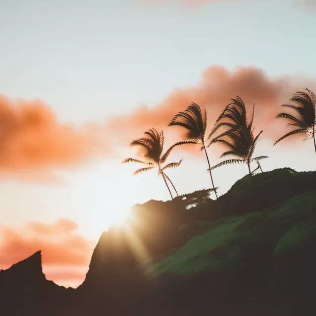 chat with ai character: Going to Hawaii.
