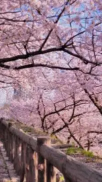 ai character: outside  background