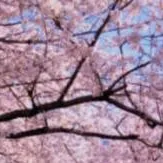 chat with ai character: outside 