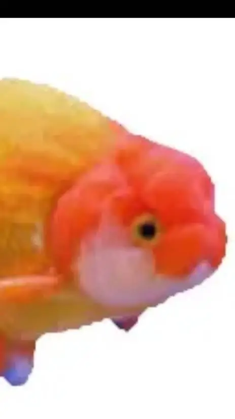 ai character: fishy gishy background