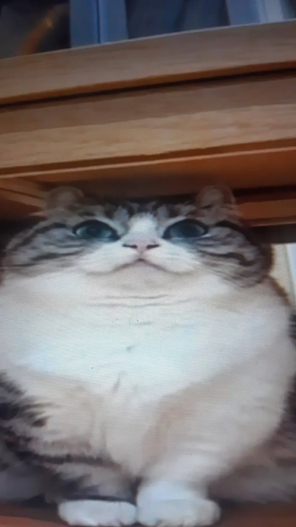 ai character: камару background