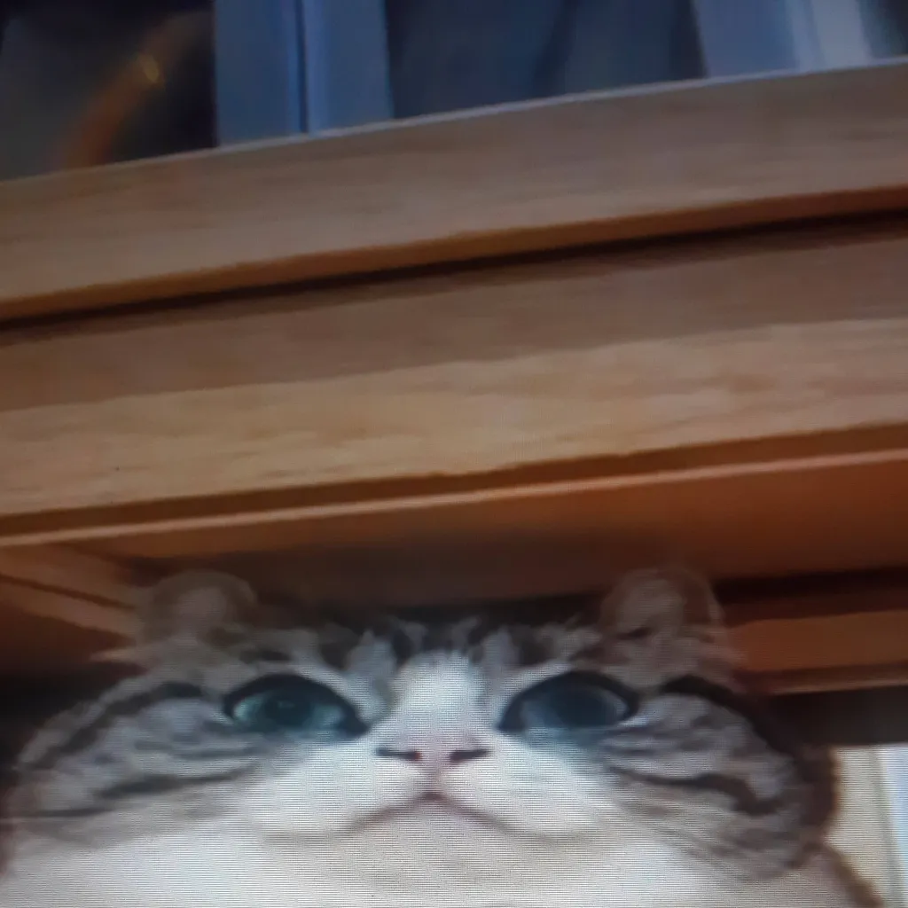 chat with ai character: камару