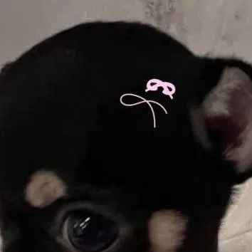 chat with ai character: rumi en la escuela