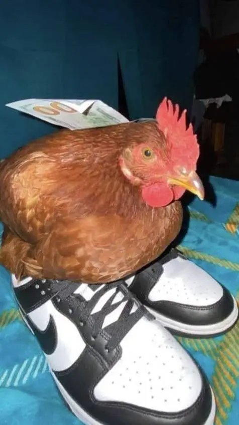 ai character: Dabi o howks? background