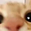 chat with ai character: coco: and then-