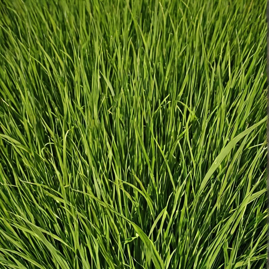 chat with ai character: grass