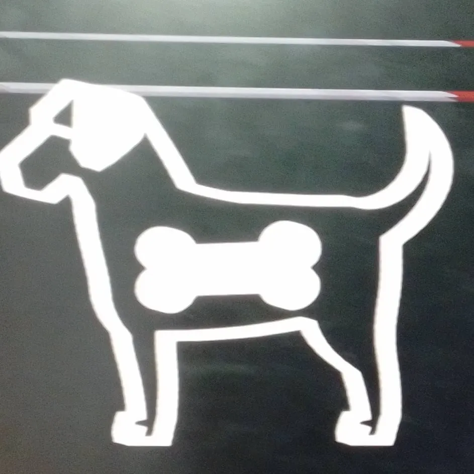 chat with ai character: catnisse