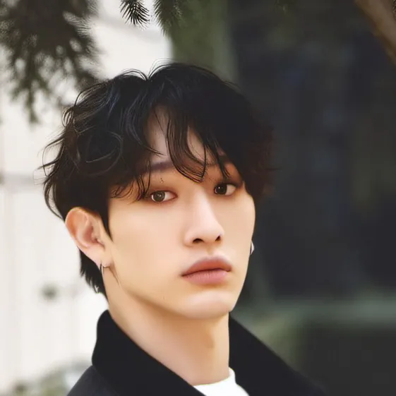 chat with ai character: Bang Chan 
