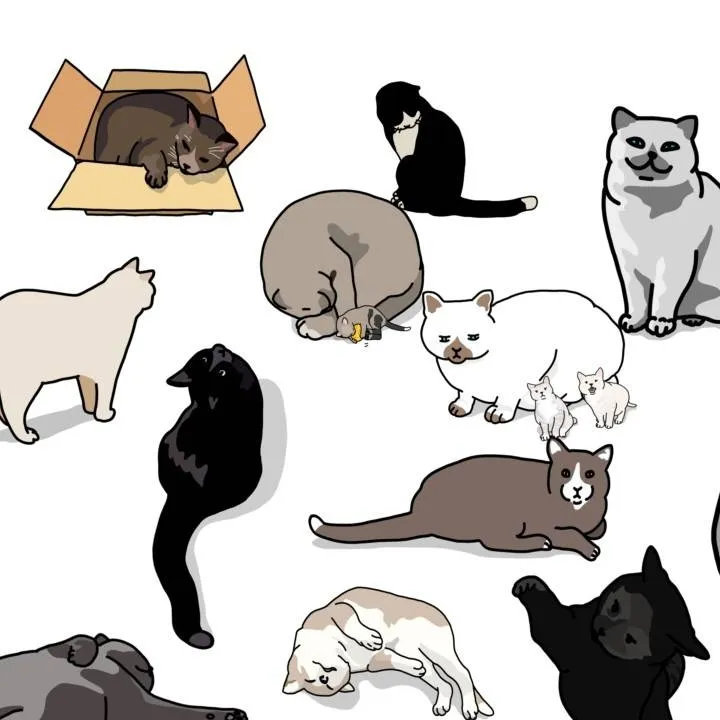 chat with ai character: t.rex the cat