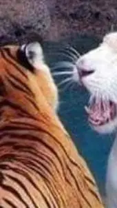 ai character: algo muy algoso  background