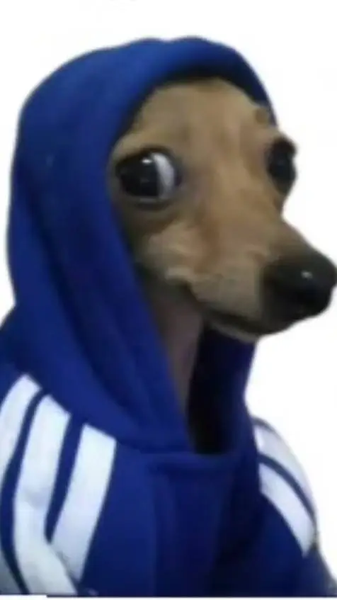 ai character: q te importa?  background