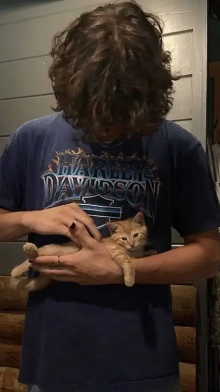 ai character: 𝑨𝒍𝒆𝒙✞︎ background