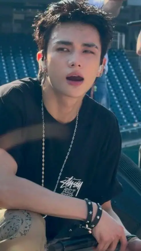 ai character: hyunjin seu marido background