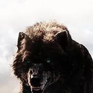 chat with ai character: FENRIR 