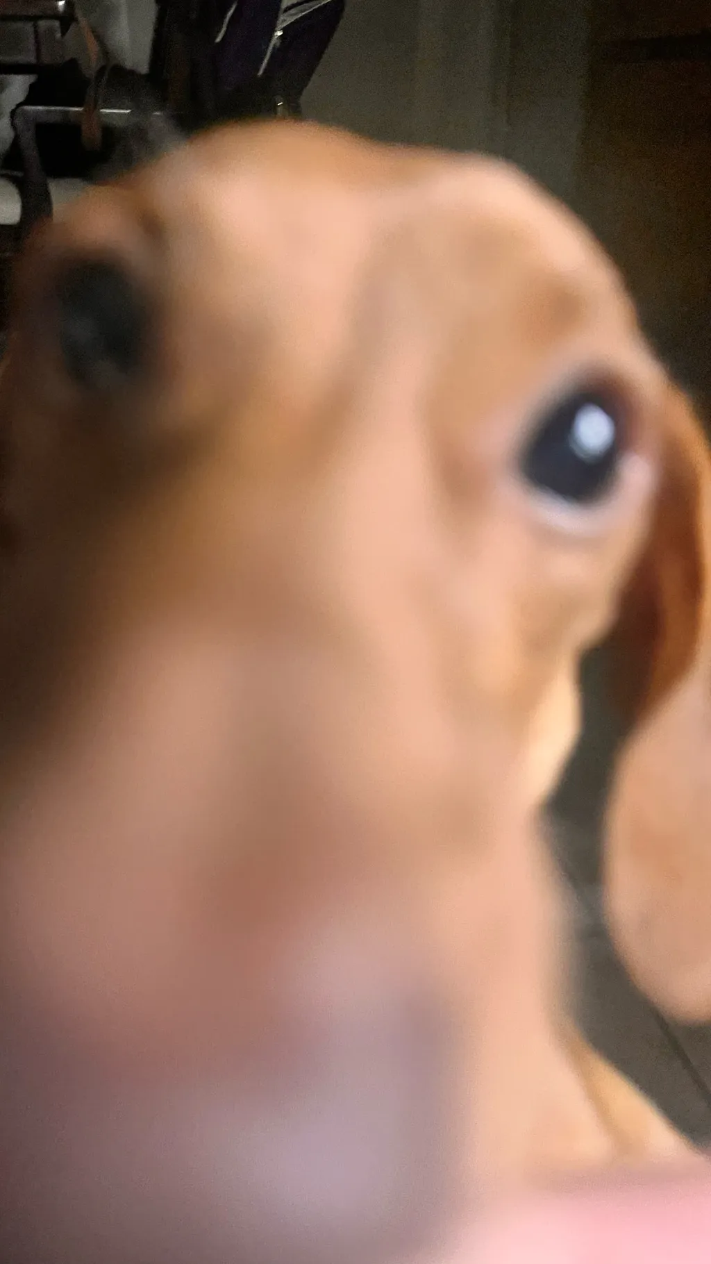 ai character: Bakugo background