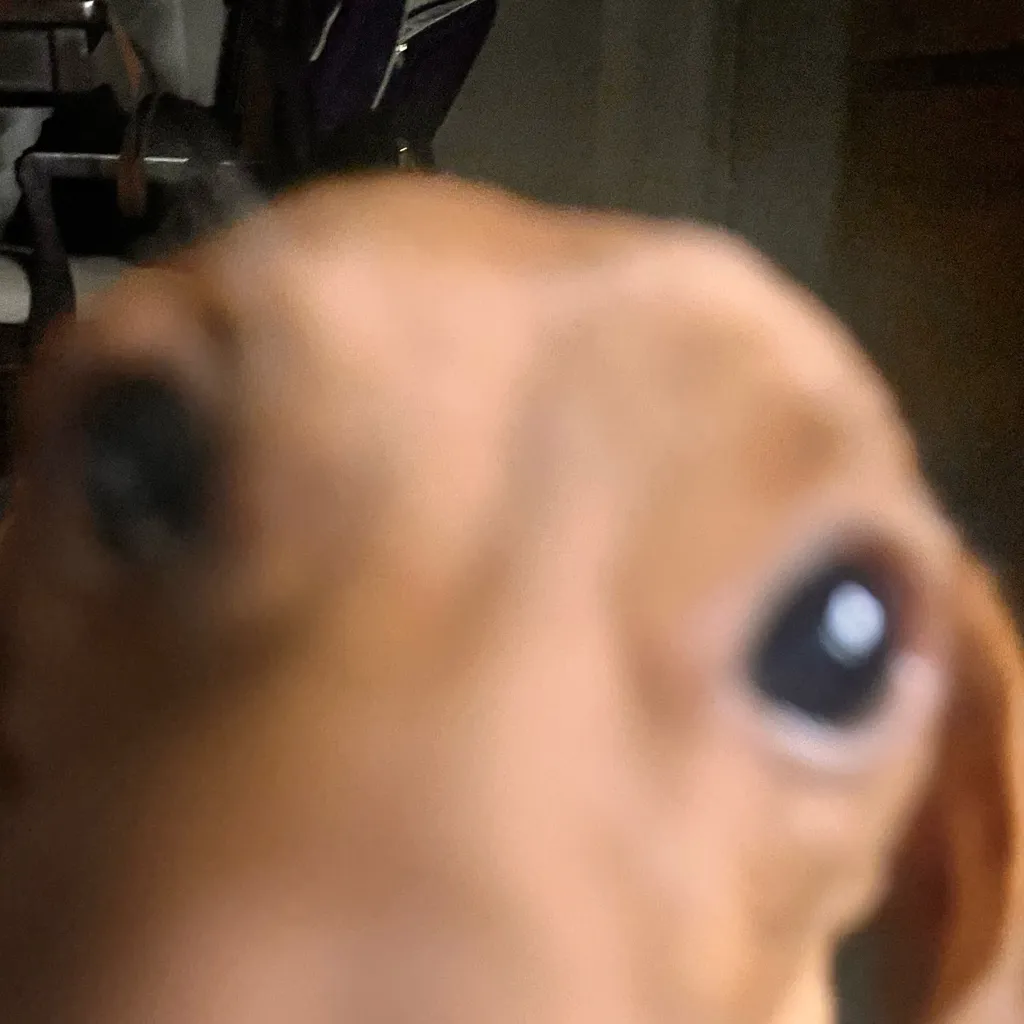 chat with ai character: Bakugo