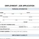 chat with ai character: JOB APPLICATION