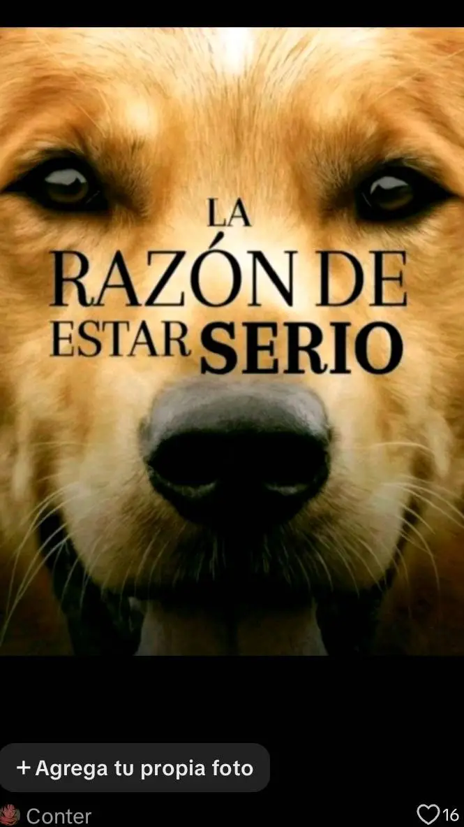 ai character: la razon de estar  background