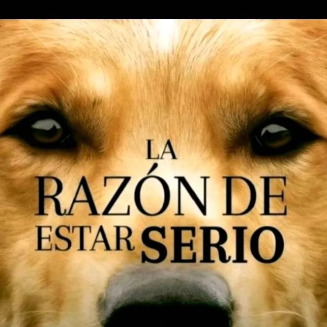 chat with ai character: la razon de estar 