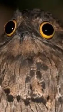 ai character: damian  background