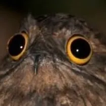 chat with ai character: damian 