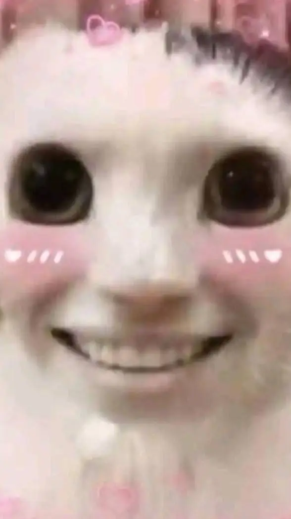 ai character: pretty cat background