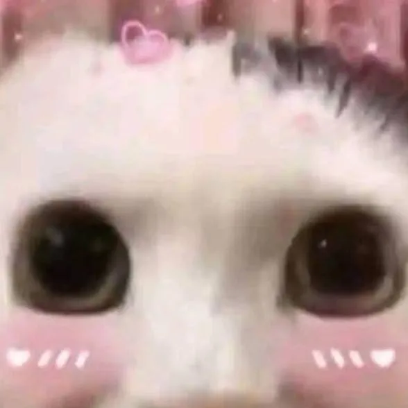 chat with ai character: pretty cat